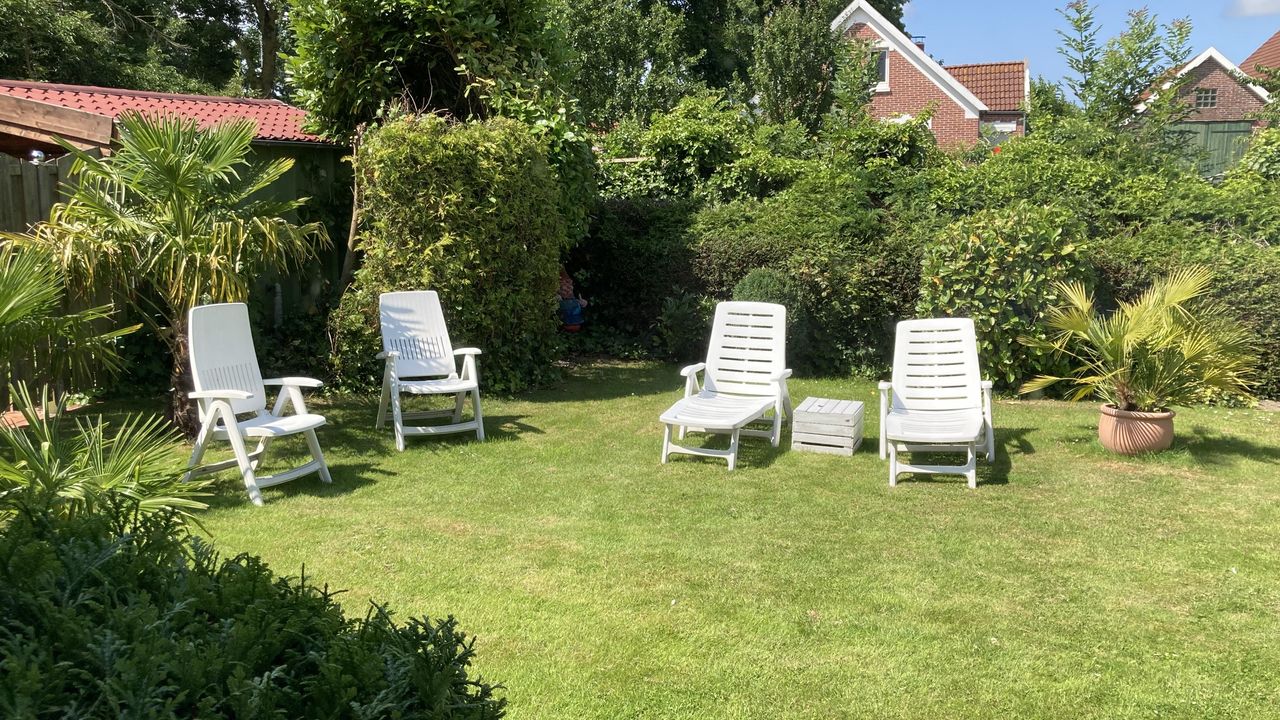 Blick in den Garten, Urlaub unter Palmen Blick in den Garten, Urlaub unter Palmen